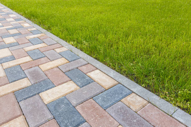 Best Driveway Pavers Near Me  in Derby, CT